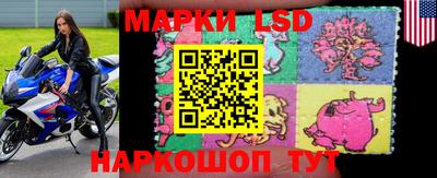 PSILOCYBIN Краснодар