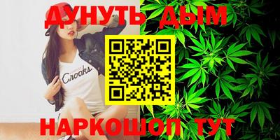 сатива Краснознаменск
