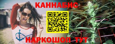 сатива Краснознаменск
