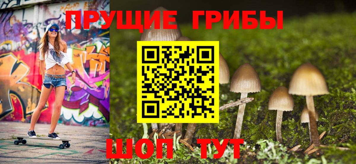 Псилоцибиновые грибы ЛСД  Вход с VPN  Королёв 