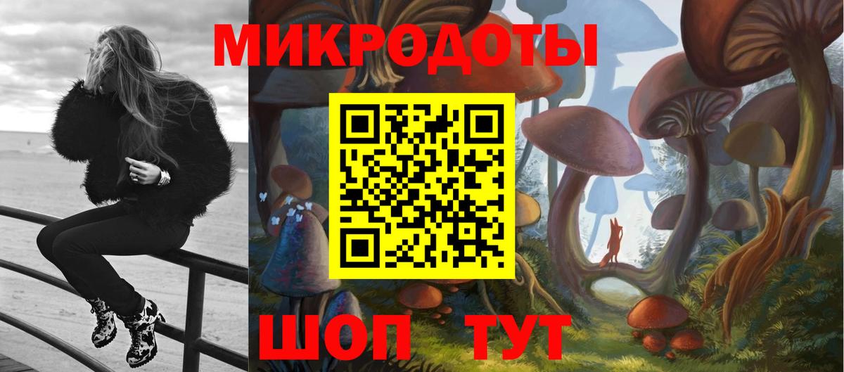 Галлюциногенные грибы Psilocybine cubensis Королёв